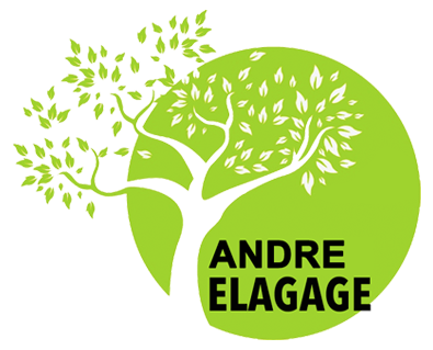 Berrichon André elagage 36